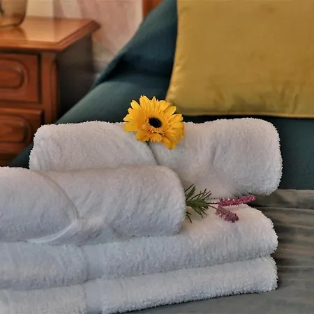 아파트 Francisco Martins 빌라플렝카드켐포