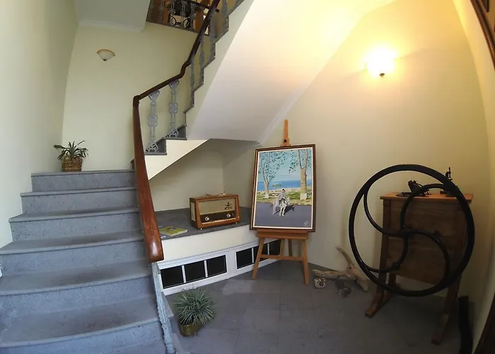 Francisco Martins * 빌라플렝카드켐포